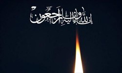 پیام تسلیت رئیس فدراسیون بولینگ و بیلیارد به کامران شهلا